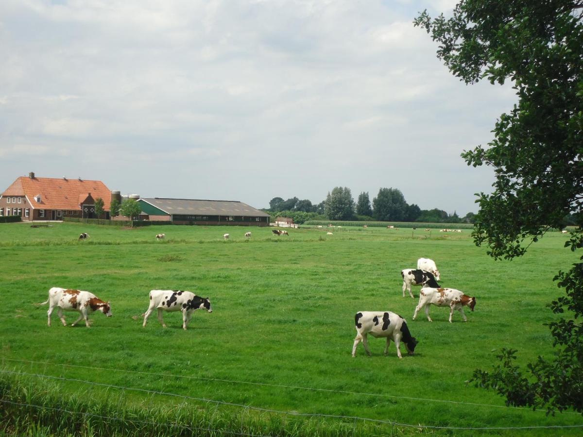 Klein Vreugderijk Panzió Zwolle  Kültér fotó